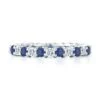Platinum Shared Prong Diamond And Sapphire Eternity Band 2 Platinum Shared Prong Diamond And Sapphire Eternity Band -Luxe Rings Shop DETS0663