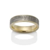 18K Yellow Gold Palladium Meteorite Wedding Band 2 18K Yellow Gold Palladium Meteorite Wedding Band -Luxe Rings Shop gfb04449